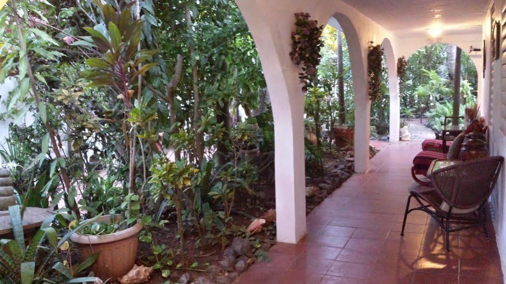 Coconut Palms Inn Rincon Buitenkant foto